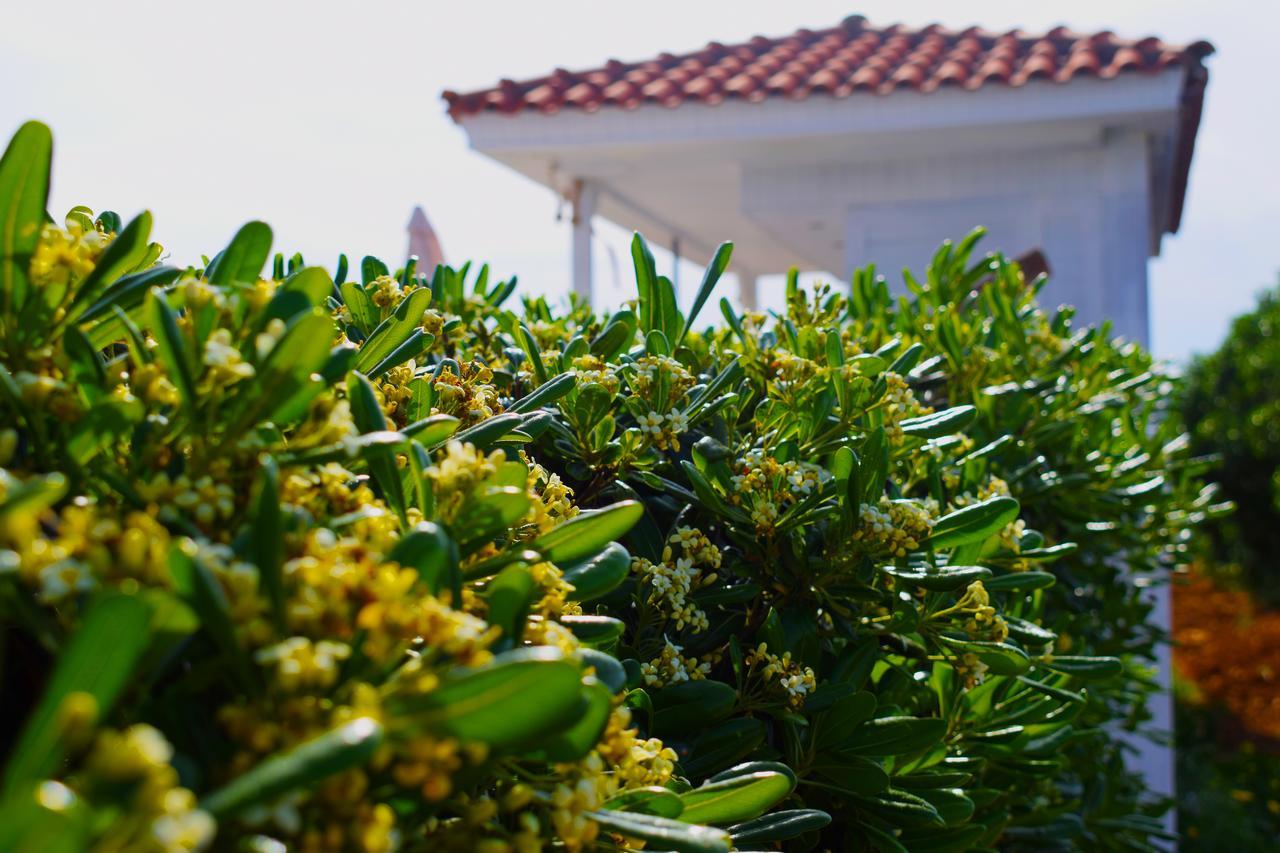 Sofia'S House "By Checkin" (Adults Only) Kokkini Hani Exterior foto